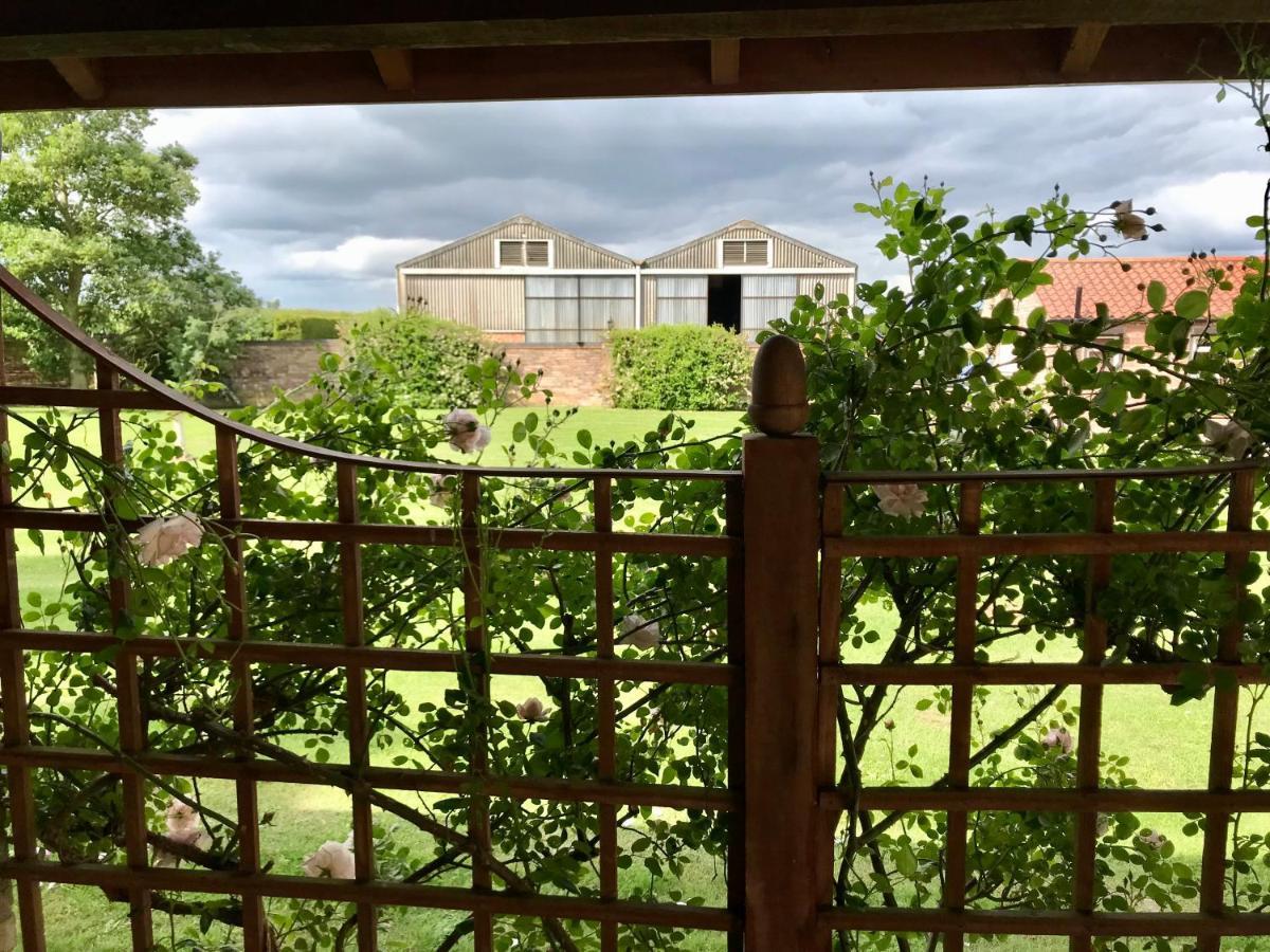 Charming Hen Cottage Countryside Retreat Lincoln Newball エクステリア 写真
