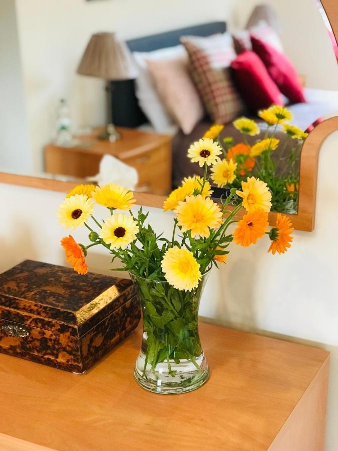 Charming Hen Cottage Countryside Retreat Lincoln Newball エクステリア 写真